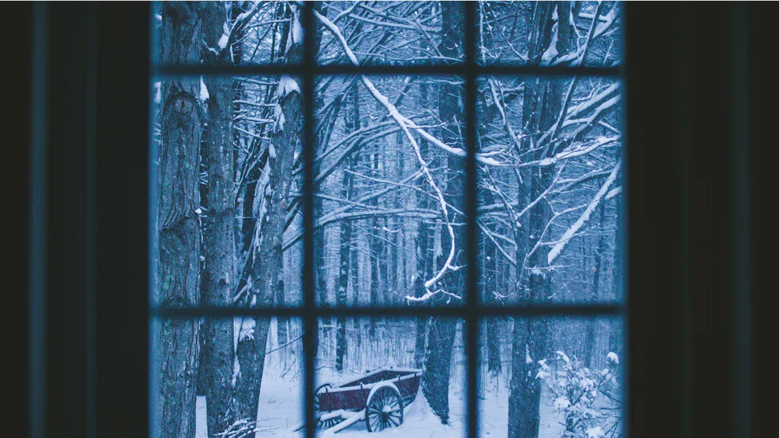 Which Type of Depression is Treated with Light Therapy?