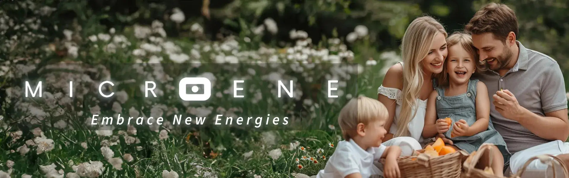 MicroENE
